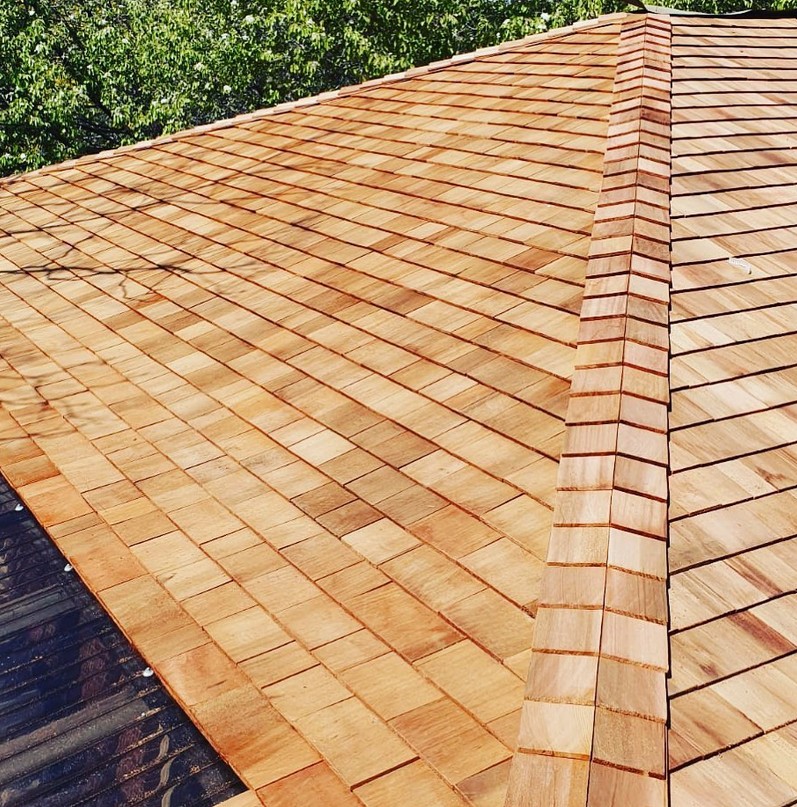Shingle Roof