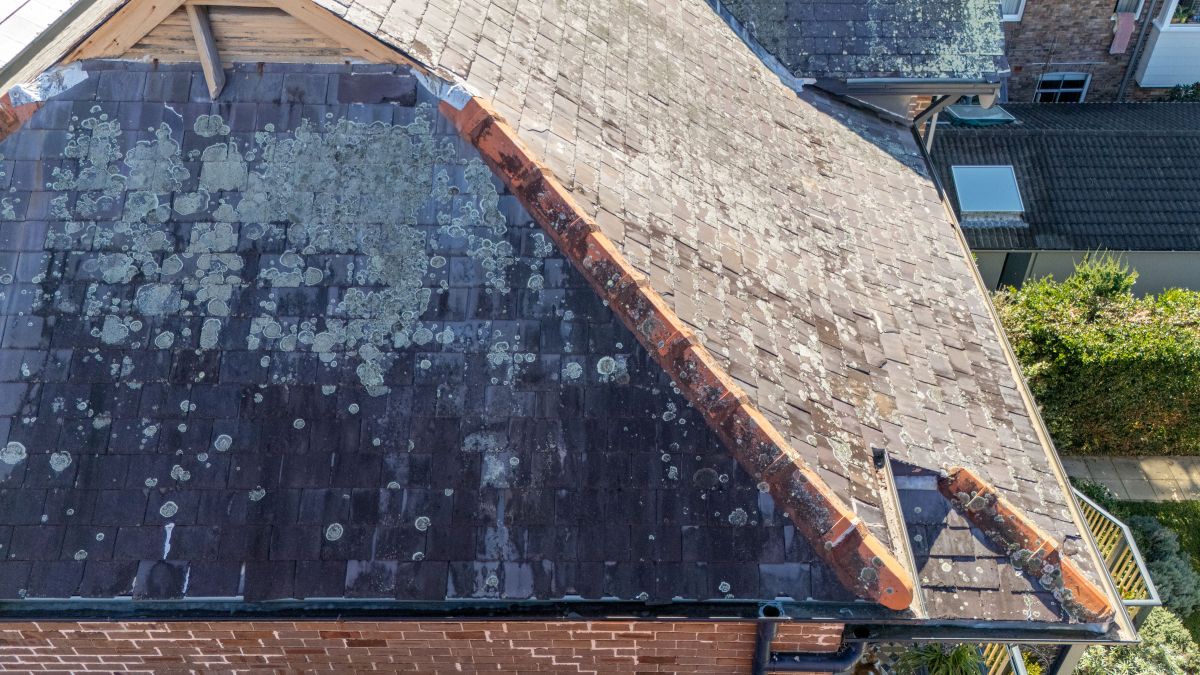 Damaged Slate Roof Needs To Be Restored